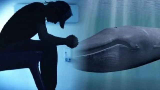 Fenomeno “Blu Whale “: adolescenti travolti dall’onda della balena blu